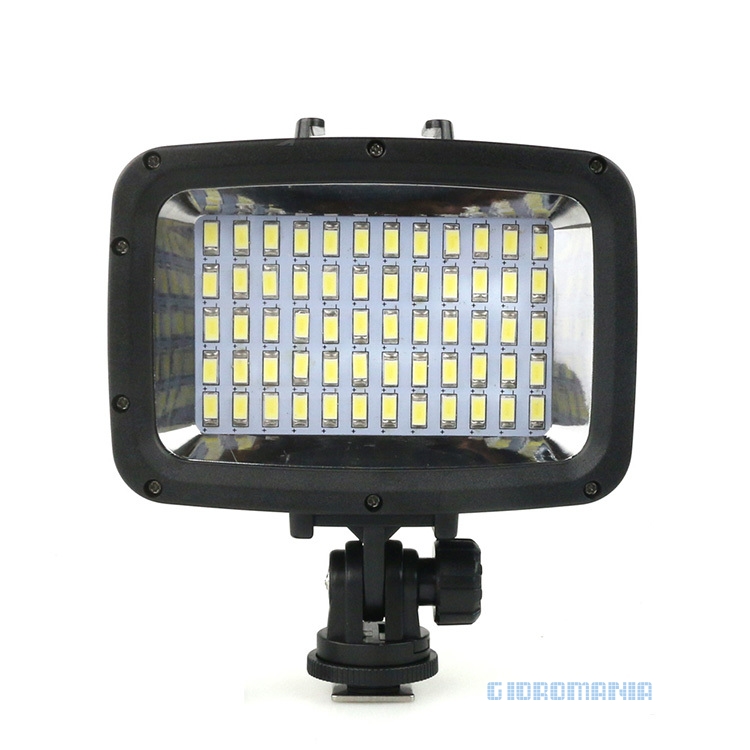    Seafrogs SL-101 LED (1800 )