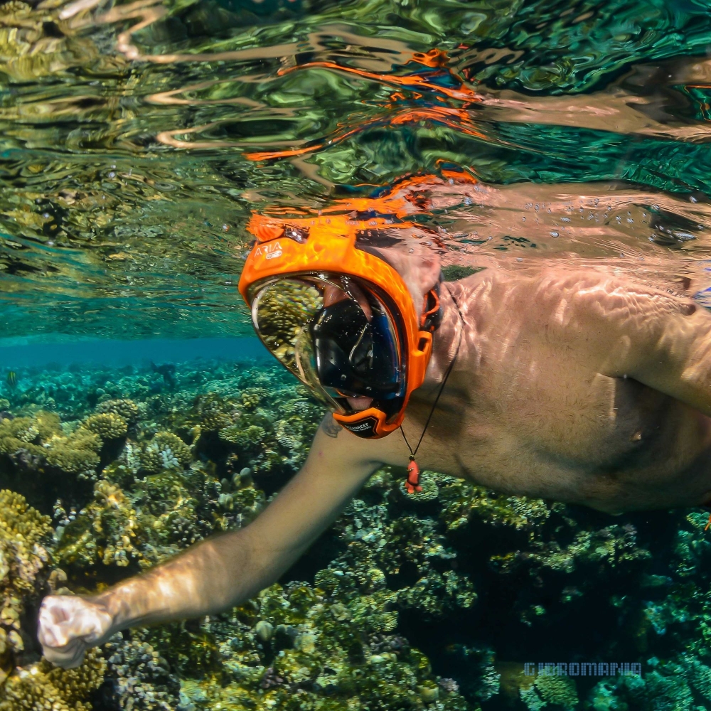 Полнолицевая маска для сноркелинга Ocean Reef Aria оранжевая